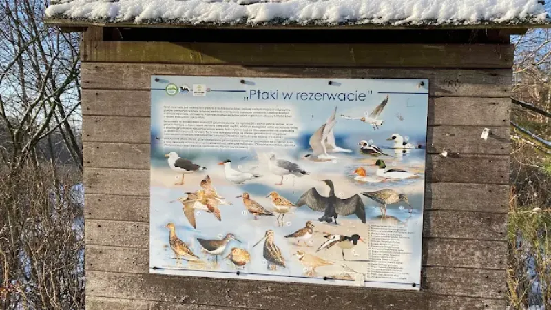 Rezerwat przyrody Ptasi Raj